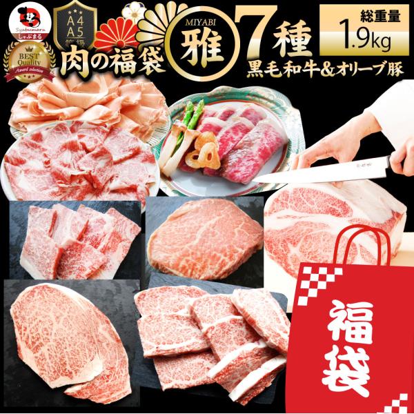 肉 福袋 黒毛和牛 オリーブ豚 食べ比べ 「雅福袋」 総重量1.9kg超 凍眠 テクニカン 2023...