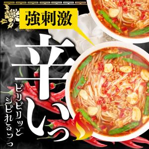ラーメン 宮崎辛麺 ご当地ラーメン2食 スープ...の詳細画像2