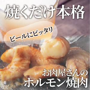 焼肉 牛肉 肉 ホルモン マルチョウ モツ 1...の詳細画像1