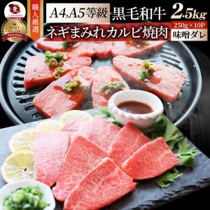 A4,A5等級 特選 黒毛和牛 カルビ焼肉 2.5kg ねぎまみれ 旨辛味噌ダレ（ A4 〜 A5等級 ）牛肉 肉 母の日 父の日 ギフト 食品 お祝い 霜降り 贅沢 黒毛｜syabumaru