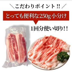 豚バラ肉 1kg スライス 焼肉 豚肉 250...の詳細画像4