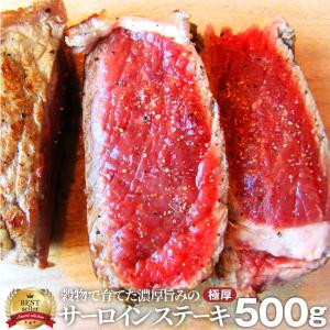 牛肉 肉 極厚 500g 凍眠 テクニカン オージー サーロイン ステーキ リッチな 赤身 ロース 贅沢 ステーキ 母の日食品 ギフト プレゼント お祝い 爆買
