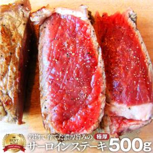 牛肉 肉 極厚 500g 凍眠 テクニカン オージー サーロイン