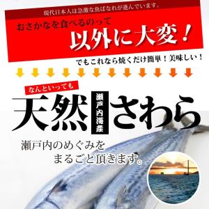 瀬戸内海産 天然さわら 味噌漬け 白みそ 鰆 ...の詳細画像1