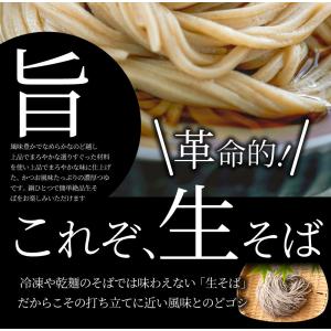 そば 蕎麦 ポイント10倍 1000円 ポッキ...の詳細画像3