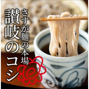 そば 蕎麦 ポイント10倍 1000円 ポッキ...の詳細画像4