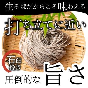 そば 蕎麦 ポイント10倍 1000円 ポッキ...の詳細画像5