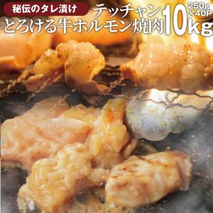 焼肉 牛肉 肉 ホルモン テッチャン モツ シマチョウ 10kg(250g×40袋) バーベキュー 焼くだけ｜syabumaru