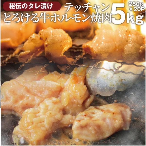 焼肉 牛肉 肉 ホルモン テッチャン モツ シマチョウ 5kg(250g×20袋) バーベキュー 焼...