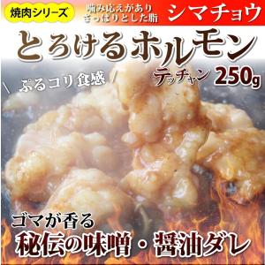 焼肉 セット 牛肉 肉 ホルモン 牛テッチャンシマチョウ モツ 250g 焼肉用 ＢＢＱ 秘伝 タレ漬け 焼くだけ 行楽 レジャー キャンプ キャンプ飯｜お肉のしゃぶまる