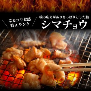 焼肉 セット 牛肉 肉 ホルモン 牛テッチャン...の詳細画像1