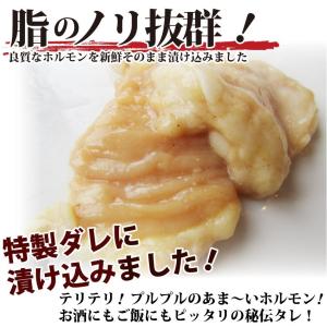 焼肉 セット 牛肉 肉 ホルモン 牛テッチャン...の詳細画像2