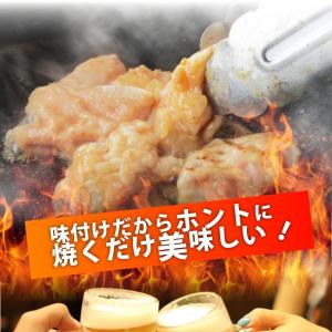 焼肉 セット 牛肉 肉 ホルモン 牛テッチャン...の詳細画像3
