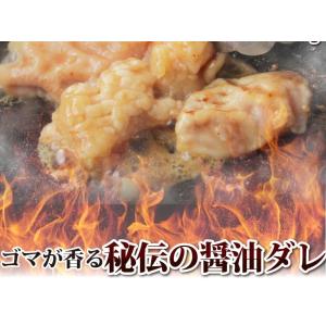 焼肉 セット 牛肉 肉 ホルモン 牛テッチャン...の詳細画像5
