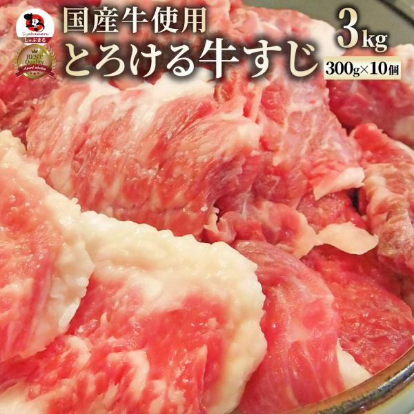 牛すじ 煮込み用 メガ盛り 3kg 牛肉 冷凍 肉 お肉屋さんの 牛 すじ 国産 生 牛スジ 訳あり...