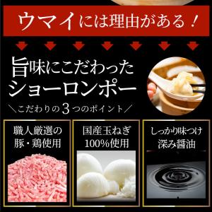 小籠包 ショーロンポー 中華 80個入り 2k...の詳細画像5