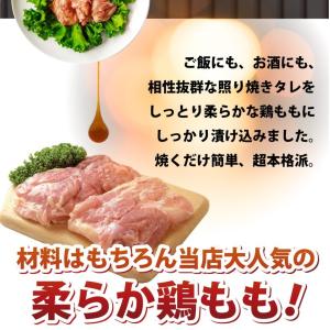 照り焼き テリヤキ テリヤキチキン 500g ...の詳細画像1