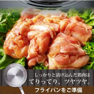 照り焼き テリヤキ テリヤキチキン 500g ...の詳細画像3