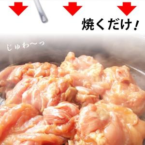 照り焼き テリヤキ テリヤキチキン 500g ...の詳細画像4