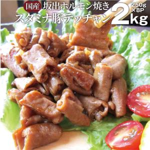 坂出ホルモン焼き スタミナ 国産 豚テッチャン 2kg