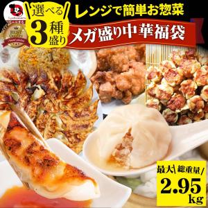 中華 点心 惣菜 総重量最大2.95kg 福袋 冷凍 セット 3種から選べるセット 餃子 焼売 小籠包 唐揚げ チャーハン 焼飯 あすつく 爆買