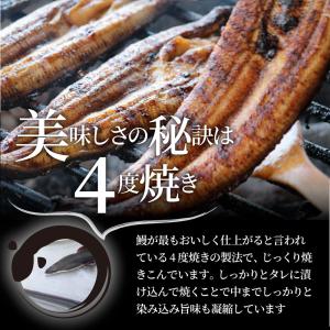 うなぎ蒲焼 2本入り(約200g×2)たれ・山...の詳細画像3