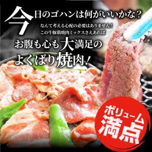 焼肉 ざんまい 牛豚鶏よくばり焼肉ミックス 1...の詳細画像2