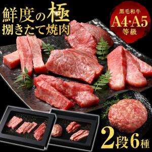 和牛母の日 6種2段 焼肉特選 黒毛和牛 牛肉 A4 A5 肉 ハンバーグ 霜降り 牛肉 国産 黒毛 和牛 焼肉 セット 真空密封包装 爆買