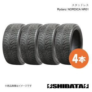NANKANG 4本セット 205/60R16 スタッドレスタイヤ ナンカン AW-1
