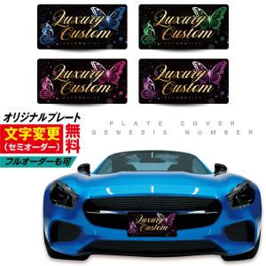 文字変更可 車用 ナンバー隠し 化粧ナンバー 撮影用 プレート ナンバー 
