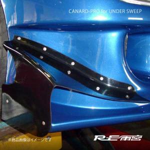RE雨宮 アールイーアメミヤ カナード・プロ アンダースイープ(カーボン