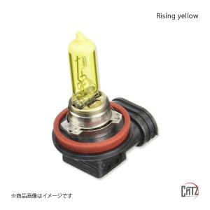 CATZ キャズ Rising yellow ハロゲンバルブ H11 プリメーラワゴン P12 H15.7〜H17.12 CB1101｜syarakuin-shop