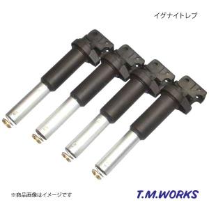 T.M.WORKS ティーエムワークス Inside Ignite REV BMW 5シリーズ 540i/545i/550i E60/E61 N62 IRB304C｜syarakuin-shop