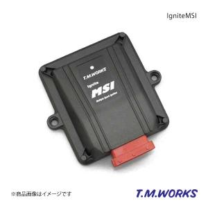 T.M.WORKS インサイドイグナイトレブ マツダスピードアクセラ BL3FW 
