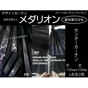 トラックカーテン 大型・中型用 日野 レンジャープロ エンボス柄