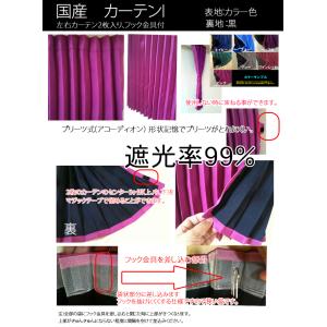 日本製 トラック用 カーテン 裏地黒 プリーツ 遮光 サイドカーテンI 幅