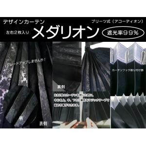 車中泊カーテン メダリオン  リアカーテン│（ 幅８５ｃｍ×丈７０ｃｍ）ｘ２枚組　トラック