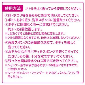 ペルシード 鉄粉 水垢除去クリーナーシャンプー...の詳細画像5