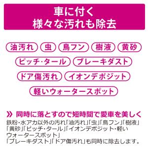 ペルシード 鉄粉 水垢除去クリーナーシャンプー...の詳細画像3
