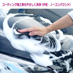 新商品 ペルシード 濃縮カーシャンプー 中型車...の詳細画像4