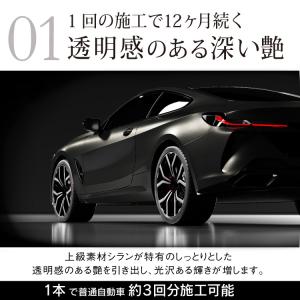 ペルシード プロ仕様 撥水ガラスコーティング剤...の詳細画像5