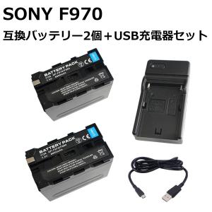 SONY（ソニー） 2個セット NP-FH70 互換 バッテリー 残量表示付 : 動画
