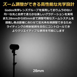 日本正規代理店品 Godox AD100Pro...の詳細画像3