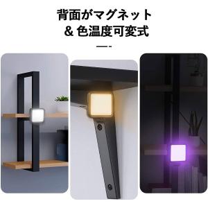 Ulanzi VL49 RGB撮影ライト LE...の詳細画像2