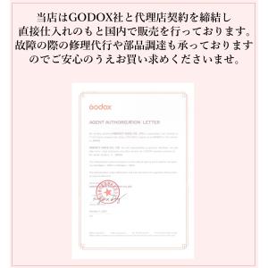正規代理店品 最新改良版 GODOX AD10...の詳細画像1