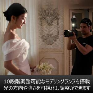 正規代理店品 Godox V480-S TTL...の詳細画像2