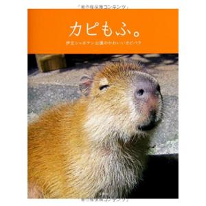 カピもふ。~伊豆シャボテン公園のかわいいカピバラ