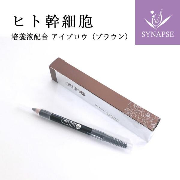 幹細胞 アイブロウペンシル シェルマ SC アイブロー (ブラウン) 日本 エンチーム [正規販売店...