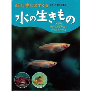 バーゲンブック 水の生きもの−教科書に出てくる生きもの観察図鑑５