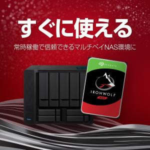 正規代理店品 Seagate シーゲイト Ir...の詳細画像2